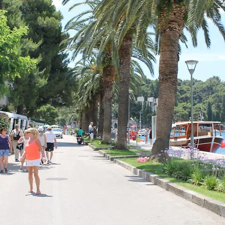 Dino Cavtat