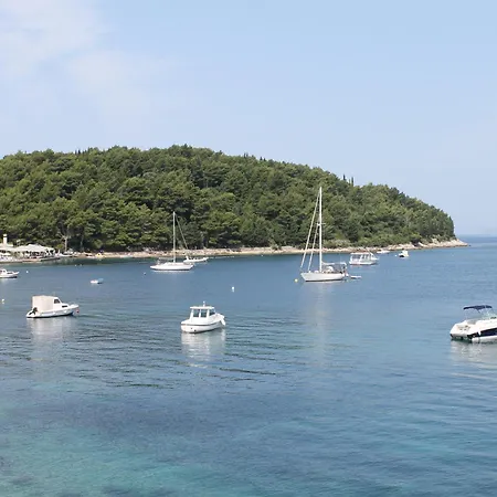 Dino Cavtat